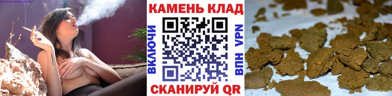ГАШ VHQ Светогорск