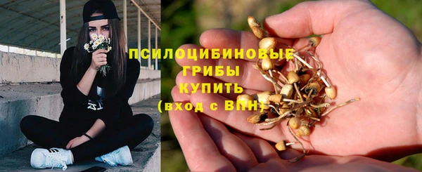 скорость Аркадак