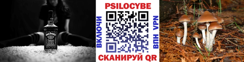 продажа наркотиков  Светогорск  мориарти официальный сайт  Псилоцибиновые грибы Psilocybe 